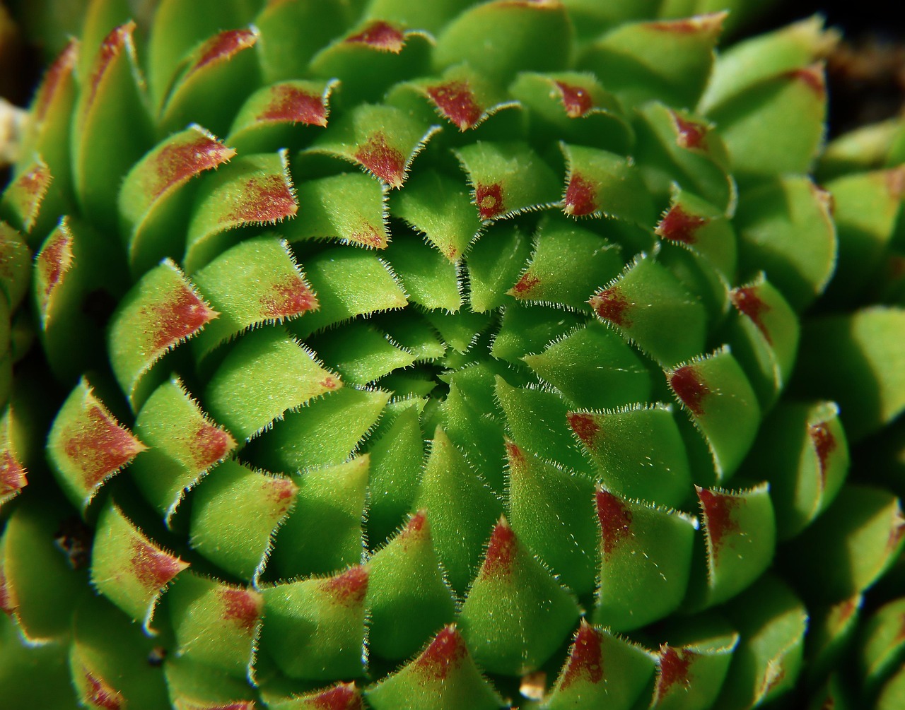 お腹の脂肪吸引の口コミで知るリアルな体験とは？