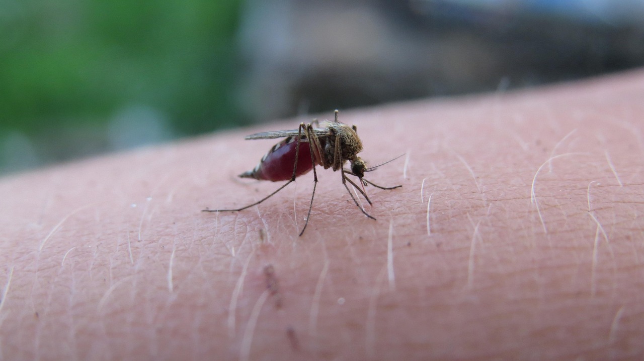 脂肪吸引お腹のモデルが愛用している方法は？