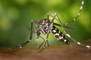 脂肪吸引のお腹に関する血液検査の項目は何ですか？