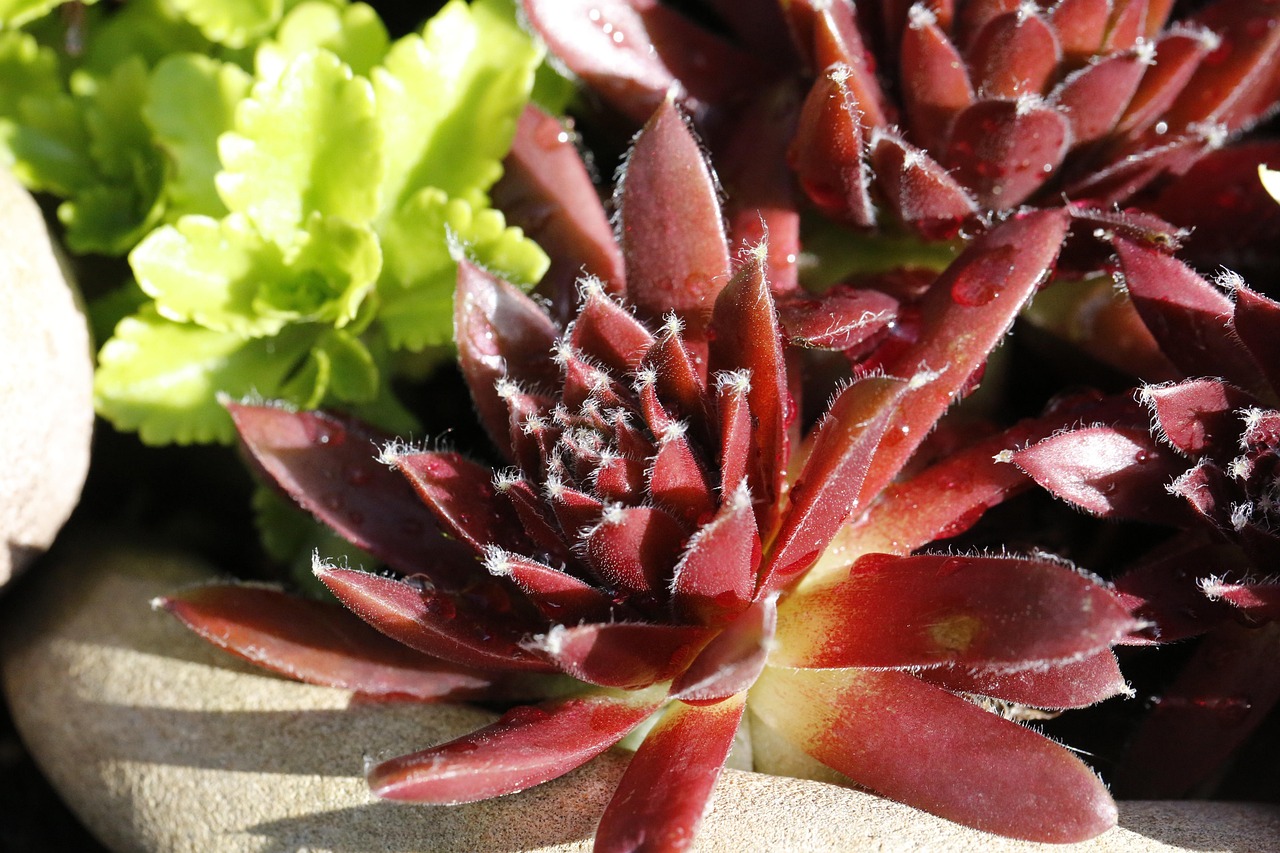 脂肪吸引お腹の症例写真が多いクリニックはどこ？