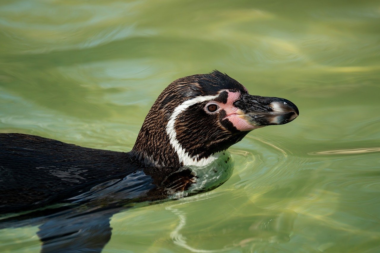 脂肪吸引後のお腹を美肌に保つためのケア方法は？