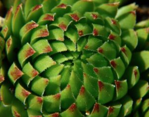 お腹の脂肪吸引は何回で完了するのが目安？