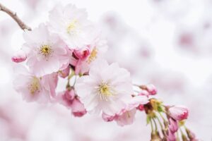 脂肪吸引後のお腹の感覚麻痺はどのくらいの期間続くのか？
