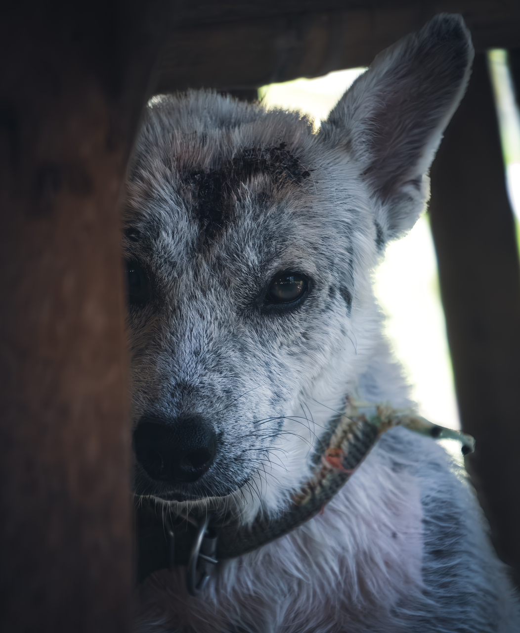 脂肪吸引後のお腹の食事で注意すべき点は？